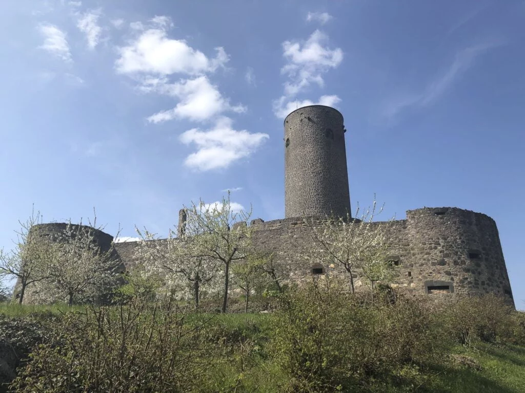 Burgruine Münzenburg