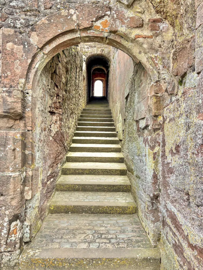 Burg Lichtenberg 5734