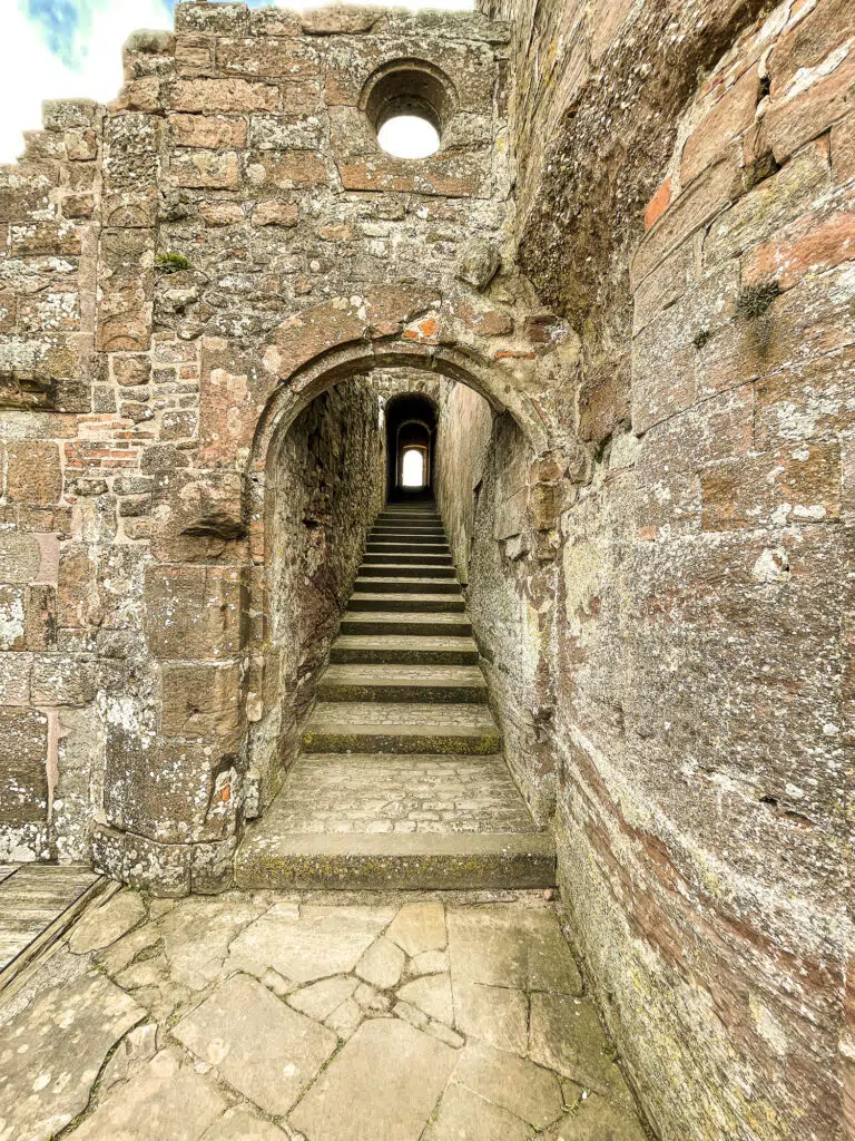 Burg Lichtenberg 5735