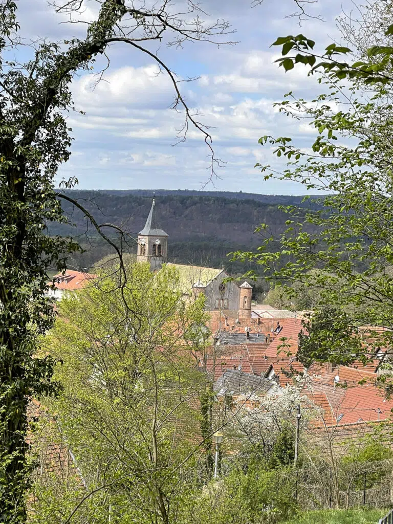 Burg Lichtenberg 5777