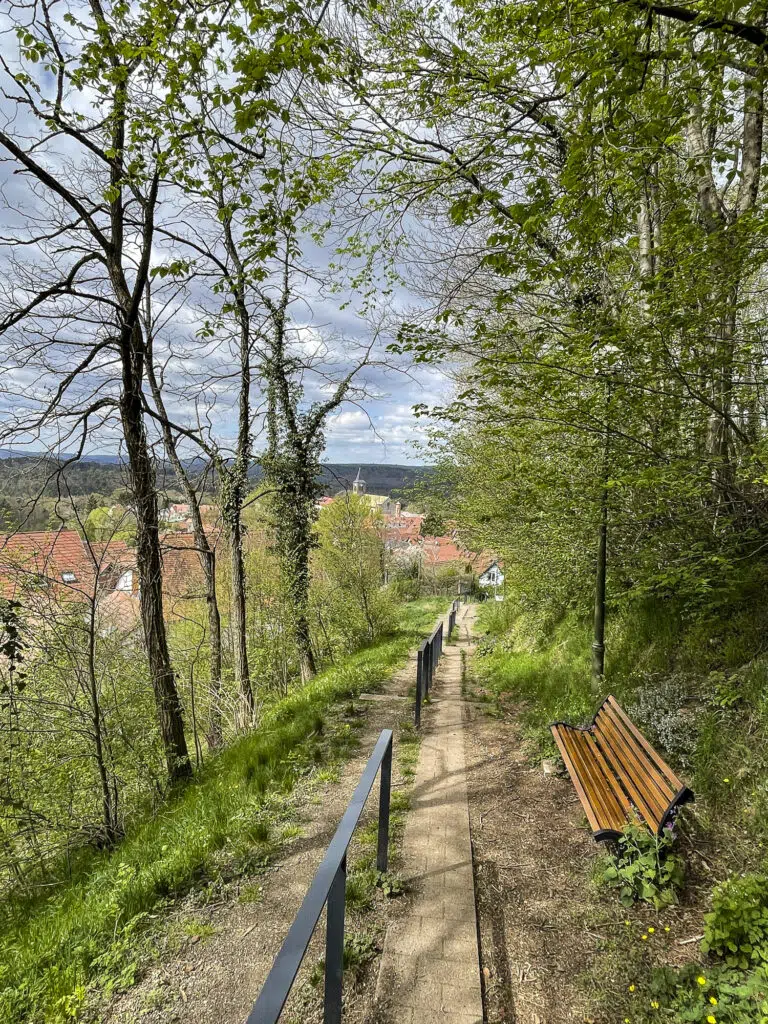 Burg Lichtenberg 5778