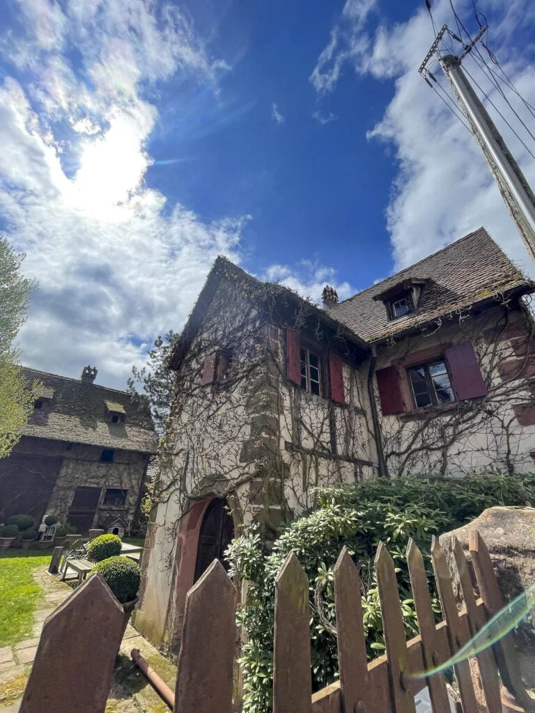 Burg Lichtenberg 5790
