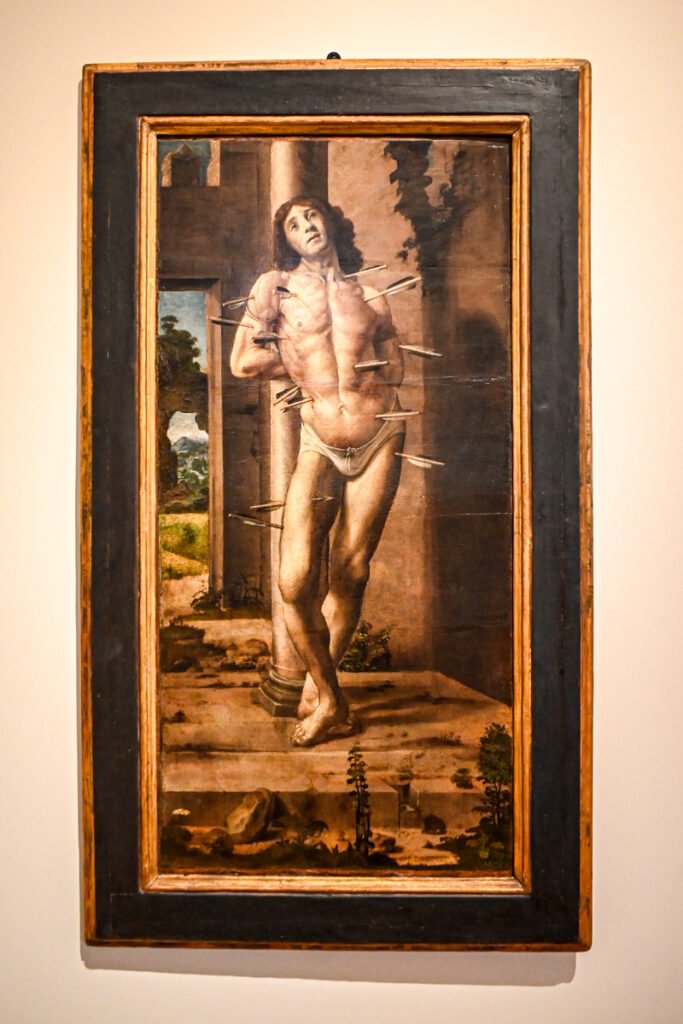 Urbino Palazzo Ducale 0927